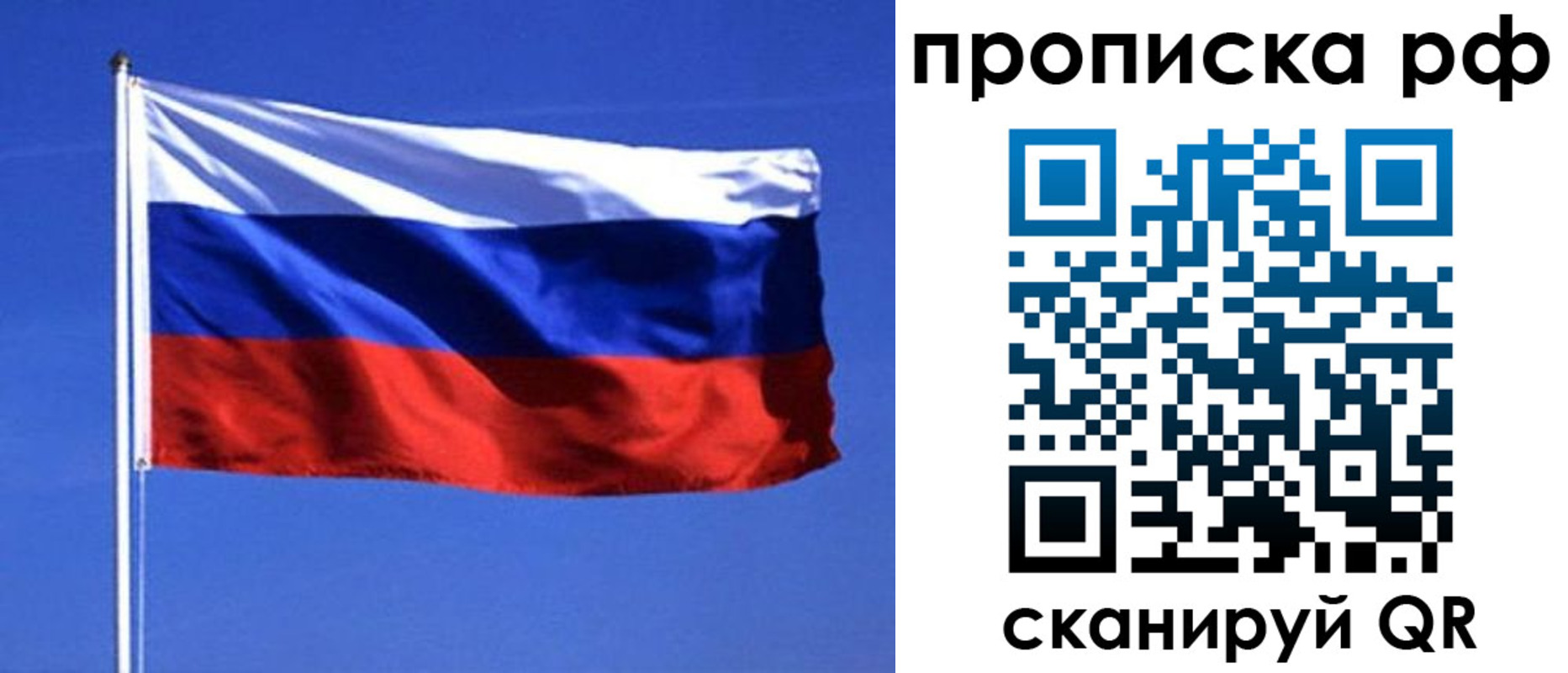 прописка иностранных граждан в Апатитах